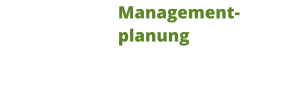 Managementplanung