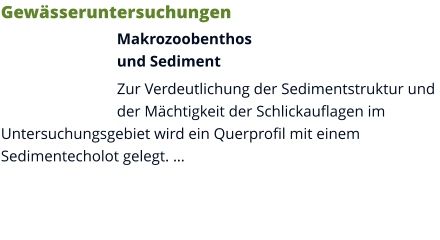 Gewässeruntersuchungen Makrozoobenthosund Sediment Zur Verdeutlichung der Sedimentstruktur und der Mächtigkeit der Schlickauflagen im Untersuchungsgebiet wird ein Querprofil mit einem Sedimentecholot gelegt. …