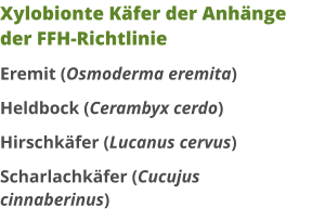 Xylobionte Käfer der Anhänge der FFH-Richtlinie Eremit (Osmoderma eremita) Heldbock (Cerambyx cerdo) Hirschkäfer (Lucanus cervus) Scharlachkäfer (Cucujus cinnaberinus)