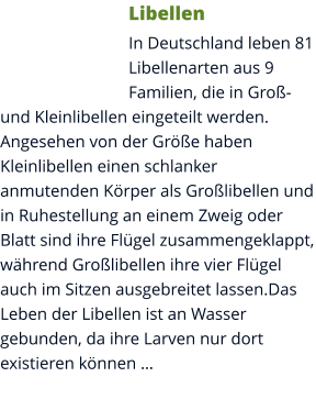 Libellen In Deutschland leben 81 Libellenarten aus 9 Familien, die in Groß- und Kleinlibellen eingeteilt werden. Angesehen von der Größe haben Kleinlibellen einen schlanker anmutenden Körper als Großlibellen und in Ruhestellung an einem Zweig oder Blatt sind ihre Flügel zusammengeklappt, während Großlibellen ihre vier Flügel auch im Sitzen ausgebreitet lassen.Das Leben der Libellen ist an Wasser gebunden, da ihre Larven nur dort existieren können …