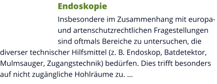 Endoskopie Insbesondere im Zusammenhang mit europa- und artenschutzrechtlichen Fragestellungen sind oftmals Bereiche zu untersuchen, die diverser technischer Hilfsmittel (z. B. Endoskop, Batdetektor, Mulmsauger, Zugangstechnik) bedürfen. Dies trifft besonders auf nicht zugängliche Hohlräume zu. …